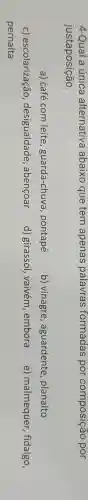 4-Qual a única alternativa abaixo que tem apenas palavras formadas por composição por
justaposição.
a) café com leite , guarda-chuva pontapé
b) vinagre , aguardente planalto
c)escolarização , desigualdade , abençoar
d) girassol , vaivém embora e) malmequer , fidalgo,
pernalta