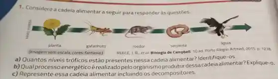 1. Considere a cadeia alimentar a seguir para responder às questōes.
planta
gafanhoto
roedor
serpente
águia
REECE, J.B., et al Biologia de Campbell 10 ed. Porto Alegre:Artmed, 2015. p. 1218.
(Imagem sem escala cores-fantasia.)
a) Quantos niveis tróficos estão presentes nessa cadeia alimentar?Identifique-os.
b) Qual processo energéticoé realizadopelo organismo produtor dessacadeia alimentar?Explique-o.
c) Represente essa cadeia alimentar incluindo os decompositores.