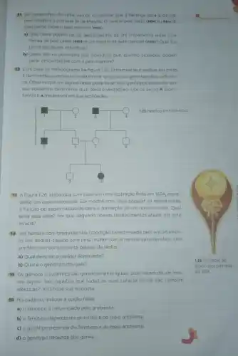 11 Em porquinhos-da-india vamos considerar que a heranca para a cor do
pelo obedece a primeira lei de Mendel. O carater pelo preto (MM ou Mm) é
dominante sobre o pelo marrom (mm)
a) Que cores podem ter os descendentes de um cruzamento entre uma
femea de pelo preto (MM) e um macho de pelo marrom (mm)? Qualéo
genótipo desses individuos?
b) Quais sào os genótipos dos individuos que quando cruzados, podem
gerar descendentes com o pelo marrom?
12 Combase no heredograma da figura 1.25 determine se o caráter em preto
é dominante ou recessivo e determine os possiveis genótipos dos individu-
os. Observe que em alguns casos pode haver dois genótipos possiveis, sem
que possamos determinar qual deles é verdadeiro Use 05 alelos A (domi-
nante) e a (recessivo) em sua explicação
1.25 Heredograma hipotético.
13 A figura 1.26 elaborada com base em uma ilustração feita em 1694, repre-
senta um espermatozoide. Ela mostra uma ideia popular na época sobre
a função do espermatozoide para a formação de um novo ser vivo Qual
seria essa ideia? Por que, segundo nossos conhecimentos atuais, ela está
errada?
14 Um homem com braquidactilia (condição caracterizada pelo encurtamen-
to dos dedos), casado com uma mulher com a mesma caracteristica, tem
um filho com comprimento padrão de dedos.
a) Qual deve ser o caráter dominante?
b) Qualéo genótipo dos pais?
15 Os gémeos univitelinos são geneticamente iguais, pois vieram de um mes-
mo zigoto. Isso significa que todas as suas características são também
idênticas? Justifique sua resposta
16 No caderno, indique a opção falsa:
a) o fenótipo é influenciado pelo ambiente.
b) o fenótipo depende do genótipo e do meio ambiente
c) o genótipo depende do fenótipo e do meio ambiente
d) o genótipo depende dos genes
1.26 llustração de
espermatozoide feita
em 1694