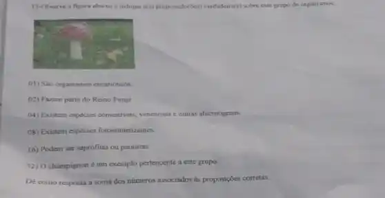 13-Observe a figura ahaixo e indiquo a(s) proposiçio(des)verdadeira(s) sobre este grupo de organismos.
01) Sao organismos cucarioticos
(02) Fazem parte do Reino Fungi
04) Existem espécies comestiveis, venenosas e outras alucinógenas
08) Existem espécies fotossintetizantes.
16) Podem ser saprófitas ou parasitas.
32) O champignon é um exemplo pertencente a este grupo.
Dê como resposta a soma dos números associados as proposições corretas.