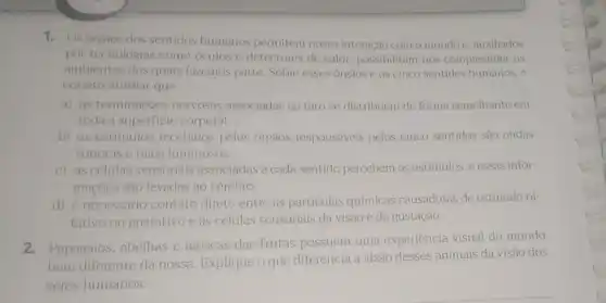 1.Os orgaos dos sentidos humanos permitem nossa interação com o mundo e, auxiliados
por tecnologias como oculos e detectores de calor, possibilitam-nos compreender os
ambientes dos quais fazemos parte. Sobre esses orgàos e os cinco sentidos humanos, é
correto afirmar que
a) as terminaçoes nervosas associadas ao tato se distribuem de forma semelhante em
toda a superficie corporal.
b) os estimulos recebidos pelos órgãos responsáveis pelos cinco sentidos são ondas
sonoras e raios luminosos.
c) as células sensoriais associadas a cada sentido percebem os estímulos, e essas infor-
maçōes são levadas ao cérebro.
d) é necessário contato direto entre as particulas quimicas causadoras de estímulo ol-
fativo ou gustativo e as células sensoriais da visão e da gustação.
2. Papagaios, abelhas e moscas-das-frutas possuem uma experiência visual do mundo
bem diferente da nossa. Explique o que diferencia a visão desses animais da visão dos
seres humanos.