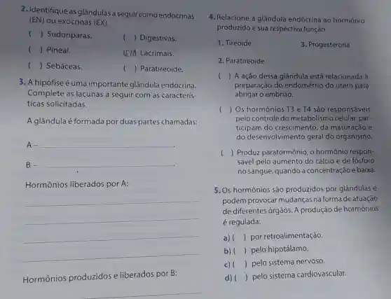 2. Identifique as glândulas a seguir como endócrinas
(EN) ou exócrinas (EX)
() Sudoríparas.
() ( ) Digestivas.
() ... ) Pineal.
(EM Lacrimais.
() Sebáceas.
() Paratireoide.
3. A hipófise é uma importante glândula endócrina.
Complete as lacunas a seguir com as caracterís-
ticas solicitadas.
A glândula é formada por duas partes chamadas:
A- __
B- __
Hormônios liberados por A:
__
__
__
__
__
Hormônios produzidos e liberados por B:
4. Relacione a glândula endócrina ao hormônio
produzido e sua respectiva função.
1. Tireoide
3. Progesterona
2. Paratireoide
() ( ) A ação dessa glândula está relacionada à
preparação do endométrio do útero para
abrigar o embrião.
() Os hormônios T3 e T4 são responsáveis
pelo controle do metabolismo celular par-
ticipam do crescimento, da maturação e
do desenvolvimento geral do organismo.
( ) Produz paratormônio, o hormônio respon-
sável pelo aumento do cálcio e de fósforo
no sangue, quando a concentração é baixa.
5. Os hormônios são produzidos por glândulas e
podem provocar mudanças na forma de atuação
de diferentes órgãos A produção de hormônios
é regulada:
a) () por retroalimentação.
b) () pelo hipotálamo
c) () pelo sistema nervoso.
d) () pelo sistema cardiovascular.