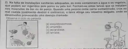 2) Na falta de instalaçóes sanitárias adequadas, os ovos contaminam a água e os vegetais
que podem ser ingeridos pelo porco ou pelo boi, Formam-so entito larvas que se instalam
nos músculos do bo ou do porco. Quando uma pessoa come came contaminada, crua ou
mal corida (cozimento destrol o cisticerco), a larva atinge seu intestino delgado, onde so
desenvolve provocando uma doença chamada:
Observe o ciclo do parasita.
(a) esquistossomose.
(b
(c) ascaridiase
id teniase.