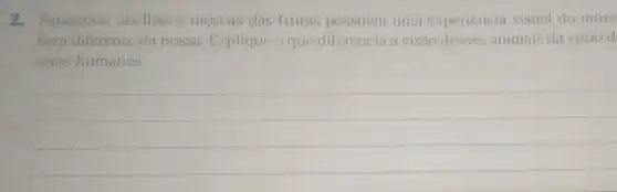 2. Papagaios, abelhas e moscas-das-frutas possuem uma experiencia visual do munc
bem diferente da nossa Explique o que diferencia a visão desses animais da visão d
seres humanos.
__