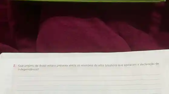 2. Que projeto de Brasil estava presente entre os membros da elite brasileira que apoiaram a declaração de
independência?
__