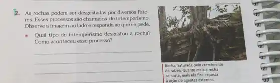 2. As rochas podem ser desgastadas por diversos fato-
res. Esses processos são chamados de intemperismo.
Observe a imagem ao lado e responda ao que se pede.
Qual tipo de intemperismo desgastou a rocha?
Como aconteceu esse processo?
__
Rocha fraturada pelo crescimento
de raizes. Quanto mais a rocha
se parte, mais ela fica exposta
à ação de agentes externos.