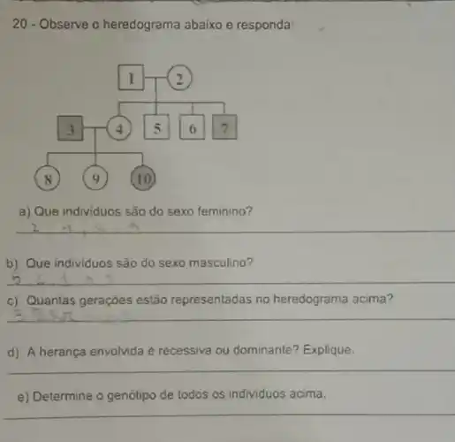 20 - Observe o heredograma abaixo e responda:
a) Que individuos são do sexo feminino?
b) Que individuos são do sexo masculino?
__
c) Quantas geraçóes estão representadas no heredograma acima?
__
d) A herança envolvida é recessiva ou dominante?Explique.
__
e) Determine o genótipo de todos os individuos acima.
__