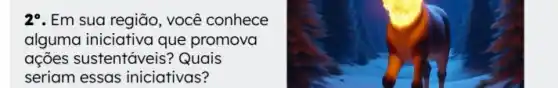 29. Em sua região , você conhece
alguma iniciativa que promova
ações sustentáveis?Quais
seriam essas iniciativas ?