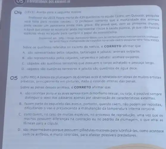 )5 /ADNVERSIDADE DOS ANIMALS III
O4 (UECE) Atente para a seguinte noticia:
Professor da UECE flagra morte de 439 quelónios no acude Cedro, em Quixadá; pesquisa
sera feita para revelar causas... O professor comenta que a mortandade dos animais
pode causar um panorama ainda mais grave. El preve que, com as primeiras chuvas,
a dqua que possa se acumular pode representar riscos a saúde pública já que nào haverd
especies vivas no acude para cumprir o papel do ecossistema.
Disponivel em: https://plogs.diariodonordest com.br/sertaocentral meloambiente/professor-
da-uece-flagra-mortandade-de-cagados-no -acude-cedro-pesquisa-sera-leita/49083
Sobre os quelônios referidos no excerto da noticia é CORRETO afirmar que
A. são representados pelos cágados, tartarugas e jabutis:animals oviparos.
B. sao representados pelos cágados, serpentes e jabutis:animais oviparos.
C. cágados sǎo quelônios terrestres que possuem o corpo achatado e pescoço longo.
D. cágados são quelônios terrestres e jabutis são quelônios de água doce.
O5 (UFU-MG) A beleza da plumagem de diversas aves é retratada em obras de multos artistas
plasticos, principalmente em pinturas dado o colorido intenso das penas.
Sobre as penas desses animais, é CORRETO afirmar que
A. são coloridas porque as aves apresentam dimorfismo sexual, ou seja, é possivel sempre
distinguir o sexo dos pássaros apenas por observação de caracteristicas externas.
B. fazem parte do esqueleto das aves e portanto, quando caem, não podem ser repostas,
dificultando o voo e prejudicando a manutenção da temperatura interna corporal.
C. contribuem, no caso de muitas espécies, no processo de reprodução, uma vez que os
machos possuem diferenças na coloração ou no padrão da plumagem, o que atrai as
fêmeas para a cópula.
D. são impermeáveis porque possuem glândulas mucosas para lubrificá-las, como acontece
com os anfibios, e multo coloridas, para afastar possiveis predadores.