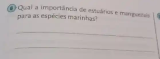 6 Qual a importância de estuários e manguezais
para as espécies marinhas?
__