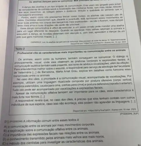 As abelhas dançam para se comunicar. Mas procisam do auius
A danca das abelhas é um tipo singular de comunicação. Elas usam seu gingado para avisar
as companheiras de colmela sobre a localização das melhores flores, com mais néctar. Através
dos seus passinhos, as colegas sabem a distância.direção e qualidade do alimento que a
mensageira encontrou.
assim como nós precisamos treinar nosso molejo, as abelhas nào nascem pés de
valsa. Cientistas descobriram que durante a juventude, elas aprimoram esses movimentos ao
tocar suas antenas nos corpos das dançarinas mais experientes - se não o fizerem, suas danças
terão mais erros e suas direçoes não serão tão precisas.
Essa dança comunicativa é dificil de executar, e um passo errado pode mandar uma abelha
para um lugar diferente do desejado. Quando as operárias mais velhas retornam a colmela e
executam a dança, as novatas observam com atenção e, com isso, aprendem a dançar de um
jeito que gere melhores mapas. ()
CAPARROZ, Leo. As abelhas dançam para se comunicar.Mas precisam de aulas de danca. In: Superinteressante.
Disponivel em: chttps://bttyXJHwo/70. Acess am 15 mar. 2023
Texto 2
Profissional cita as caracteristicas mais importantes na comunicação entre os animais
Os animais, assim como os humanos, também conseguem se comunicar. 0 diálogo é.
principalmente, visual, onde eles observam as posturas corporals e expressões faciais. A
auditiva também está presente aos sons de latidos e vocalizações, além da olfação.
Para entendermos melhor sobre o assunto, a responsável pelo serviço de etnologia da Faculdade
de Veterinária ()
de Barcelona, Marta Amat Grau, explica em detaihes como funciona essa
transmissão entre os animais.
No caso dos cães a prioridade é a comunicação visual acompanhada de vocalizações . Por
exemplo, utilizam uma linguagem ritualizada composta por postura ofensiva (corpo vertical,
membros estendidos, cauda para cima, orelhas para cima)e postura defensiva (oposta à anterior).
Tudo isto pode ser acompanhado por vocalizações e expressões faciais.
Apesar da comunicação olfativa também ser importante para os cães, essa caracteristica é
mais forte nos felinos. ()
A responsável revela que no caso dos cães é preciso que eles tenham contato com outros
individuos da sua espécie , caso isso não aconteça eles podem não aprender as linguagens.
()
Disponivel em: chttps://bit.ly/3na7go0)Acesso em: 15 mar.2023.
(P100900H6_SUP)
01) (P100900H6) A informação comum entre esses textos é
A) a comunicação entre os animais por meio movimentos corporais.
B) a explicação sobre a comunicação olfativa entre os animais.
C) a importância das expressões faciais nas relações entre os animais.
D) o conhecimento transmitido pelos animais mais velhos aos mais novos.
E) o método dos cientistas para investigar as características dos animais.