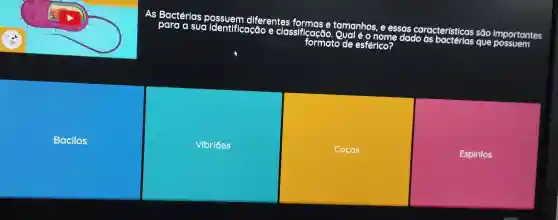 As Bactérias
sua Identification and classificaçãc tamanhos, e essas características
são importantes
formato de esférico?	que
Bacilos
square