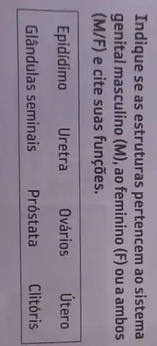 Indique se as estruturas pertencem ao sistema genital masculino (mathrm(M)) , ao feminino (mathrm(F)) ou a ambos (mathrm(M) / mathrm(F)) e cite suas funções.

 Epidídimo & Uretra & Ovários & Útero 
Glândulas seminais & Próstata & Clitóris
