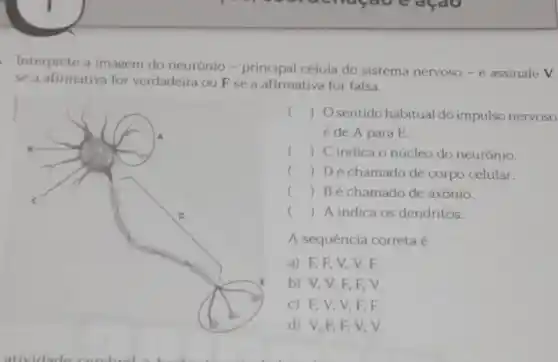 Interprete a imagem do neurónio-principal célula do sistema nervoso-e assinale V
se a afirmativa for verdadeira ou Fse a afirmativa for falsa.
() . Osentido habitual do impulso nervoso
é de A para E.
() . ) C indica o núcleo do neuronio.
() . ) Dé chamado de corpo celular.
() Bé chamado de axônio.
() A indica os dendritos.
A sequência correta
a) F.F.V.V.F
b) V,V,F F. V.
c) F V.V.F. F.
d) V,F.F.V. V.