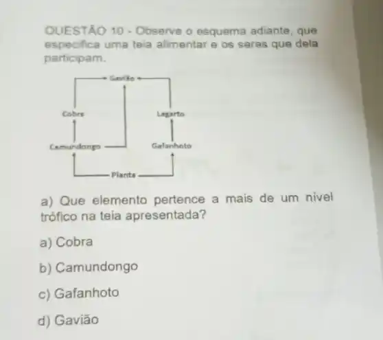 QUESTÃO 10 - Observe o esquema adiante, que
especifica uma teia alimentar e os seres que dela
participam.
a) Que elemento pertence a mais de um nivel
trófico na teia apresentada?
a) Cobra
b) Camundongo
c) Gafanhoto
d) Gavião