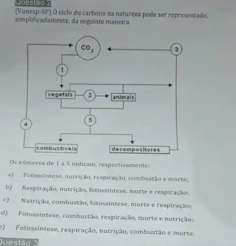 Questão
(Vunesp-SP) O ciclo do carbono na natureza pode ser representado,
simplificadamente , da seguinte maneira.
Os números de 1 a 5 indicam respectivamente:
a) Fotossintese , nutrição , respiração , combustão e morte;
b) Respiração , nutrição , fotossintese ,morte e respiração;
c)
Nutrição , combustão , fotossintese ,morte e respiração;
d)Fotossíntese , combustão , respiração, morte e nutrição:
e)
Fotossintese , respiração , nutrição , combustão e morte.
Questão ?