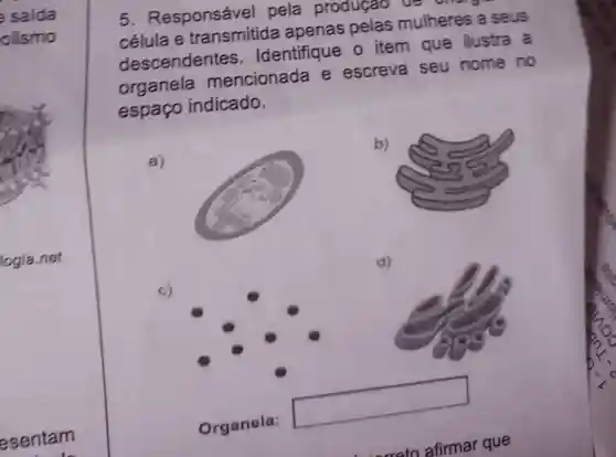 saida
olismo
logia.net
esentam
5 Responsável pela produção be thorge
célula e transmitida apenas pelas mulheres a seus
descendentes . Identifique o item que ilustra a
organela mencionada e escreva seu nome no
espaco indicado.
a)
Organela:
b)
d)
c)
square