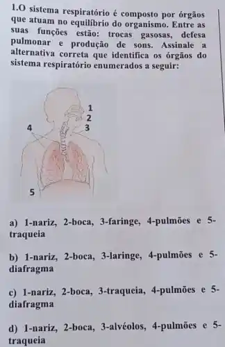 1.0 sistema respiratório é composto por órgãos
que atuam no do organismo. Entre as
suas funções estão: trocas gasosas, defesa
pulmonar e produção de sons Assinale a
alternativa correta que identifica os órgãos do
sistema respiratório enumerados a seguir:
a) 1-nariz, 2-boca , 3-faringe , 4-pulmōes e 5-
traqueia
b) 1-nariz , 2-boca, 3-laringe , 4-pulmōes e 5-
diafragma
c) 1-nariz, 2-boca , 3-traqueia , 4-pulmōes e 5-
diafragma
d) 1-nariz,, 2-boca, 3-alvéolos , 4-pulmōes e 5-
traqueia