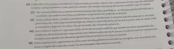 10. (UEPC-PR) O file Cnidaria (cnidários) é representado por hidras águas-vivas e anêmonas-do-mar, que são indivíduos
isolados; e pelas caravelas e corais, que são coloniais. Em relação a esse grupo de animais, assinale o que for correto.
01) São animais diblásticos e apresentam basicamente dois tipos morfológicos: as medusas geralmente natantes; e
os pólipos, que podem viver fixos ao substrato ou apoiados nele podendo se deslocar.
02) Tanto o pólipo como a medusa apresentam boca, mas não têm ânus. O alimento ingerido passa para a cavidade
gastrovascular, ondeé parcialmente digerido Depois, é absorvido pelas células que revestem essa cavidade, onde
se completa a digestão Os restos não aproveitados são eliminados pela boca.
04) Nos cnidários existe um tipo especial de célula denominada cnidócito, que aparece em maior quantidade nos
tentáculos. Os cnidócitos são responsáveis pela defesa e pela captura de presas. O cnidócito tem um nematocisto,
estrutura que contém um filamento geralmente penetrante e um líquido urticante.
08) Entre a epiderme e a gastroderme existe uma camada gelatinosa chamada de mesogleia mais abundante nos
corais. A região do corpo dos corais rica em mesogleia denomina-se umbrela.