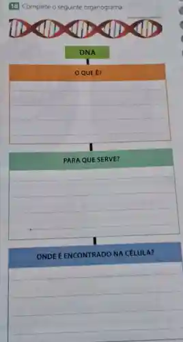 18 Complete o seguinte organograma.
DNA
OQUE É?
PARA QUE SERVE?
ONDE E ENCONTRADO NA CÉLULA?