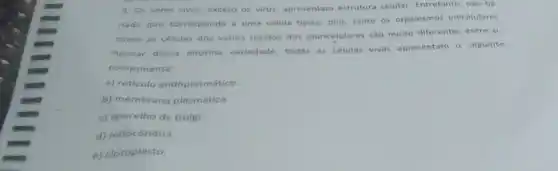 3. Os seres vivos exceto os virus, apresentam estrutura celular. Entretanto, nào hà
nada que corresponda a uma célula tipica, pois tanto os organismos unicelulares
como as células dos vários tecidos dos pluricelulares são muito diferentes entre si.
Apesar dessa enorme variedade, todas as células vivas apresentam o seguinte
componente:
a) reticulo endoplasmático.
b) membrana plasmática.
c) aparelho de Golgi
d) mitocondria.
e) cloroplasto.