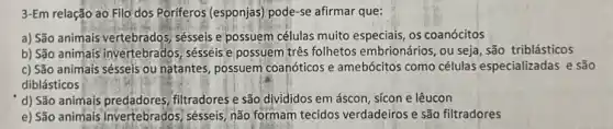 3-Em relação ao Filo dos Poriferos (esponjas) pode-se afirmar que:
a) São animais vertebrados sésseis e possuem células muito especiais, os coanócitos
b) São animais invertebrado:, sésseis e possuem tres folhetos embrionários, ou seja são triblásticos
c) São animais sésseis ou natantes, possuem coanóticos e amebócitos como células especializadas e são
diblásticos
d) São animais predadores filtradores e são divididos em áscon, sícon e lêucon
e) São animais invertebrados.sésseis, não formam tecidos verdadeiros e são filtradores