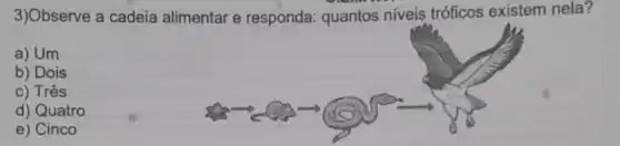 3)Observe a cadeia alimentar e responda: quantos niveis tróficos existem nela?
a) Um
b) Dois
c) Três
d) Quatro
e) Cinco