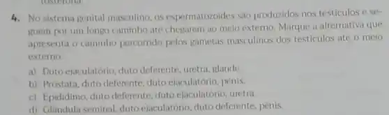 4. No sistema genital masculino, os espermatozoides sao produzidos nos testiculos e se
guem por um longo caminho até chegarem ao meio externo. Marque a alternativa que
apresenta o caminho percorrido pelos gametas masculinos dos testiculos ate o meio
externo.
a) Duto ejaculatório, duto deferente, uretra, glande.
b) Prostata, duto deferente duto ejaculatório, pènis.
c) Epididimo, duto deferente, duto ejaculatório uretra.
d) Glandula seminal, duto ejaculatorio, duto deferente penis.