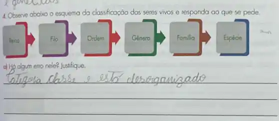 4. Observe abaixo o esquema da classificação dos seres vivos e responda ao que se pede.
a) Hó algum erro nele?Justifique.
__