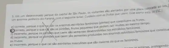 5. Em um determinado parque da capital de Sǎo Paulo, os visitantes sǎo alertados por uma placa colocada ao lad..
um enorme pinheiro-do-Parand, com o seguinte aviso: Cuidado com os frutos que coem. Esse alerta esta: (4.ESC)
a) correto, porque o que caisao os enormes estrobilos femininos (pinhas)que constituem os frutos.
(D) correto, porque o que cá sao os pinhoes.frutos pequenos que podem cair muitos ao mesmo tempo.
c) Incorreto, porque os pinhoes que caem sǎo sementes desenvilvidas nos estrobiles femininos.
d) incorreto, porque os pinhoesque caem são sementes produzidas nos enormes estrobilos femininos que constitue
os frutos.
e) incorreto, porque o que cai são estróbilos masculinos que são maiores do que os femininos.