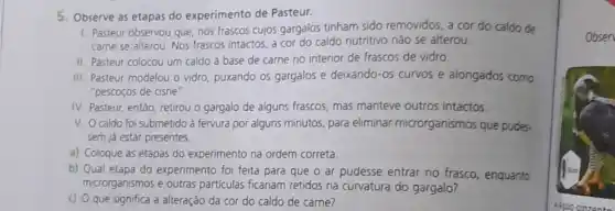 5. Observe as etapas do experimento de Pasteur.
1. Pasteur observou que nos frascos cujos gargalos tinham sido removidos, a cor do caldo de
carne se alterou. Nos frascos intactos, a cor do caldo nutritivo não se alterou.
II. Pasteur colocou um caldo à base de carne no interior de frascos de vidro.
III. Pasteur modelou o vidro, puxando os gargalos e deixando-os curvos e alongados como
"pescoços de cisne".
IV. Pasteur, então, retirou o gargalo de alguns frascos, mas manteve outros intactos
V. Ocaldo foi submetido à fervura por alguns minutos, para eliminar microrganismos que pudes.
sem já estar presentes.
a) Coloque as etapas do experimento na ordem correta
b) Qual etapa do experimento foi feita para que o ar pudesse entrar no frasco enquanto
microrganismos e outras particulas ficariam retidos na curvatura do gargalo?
c) O que significa a alteração da cor do caldo de carne?
obsen