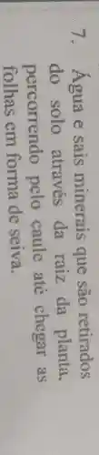7. Agua e sais minerais que são retirados
do solo através da raiz da planta,
percorrendo pelo caule até chegar as
folhas em forma de seiva.