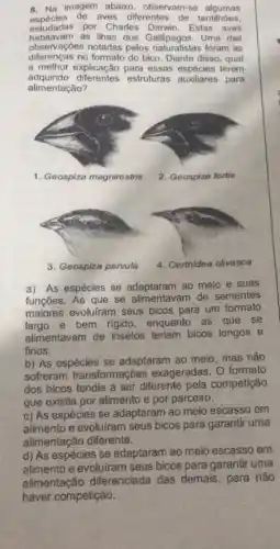 8. Na imagem abaixo observam-se algumas
espécies de aves diferentes de tentilhoes,
estudadas por Charles Darwin. Estas aves
habitavam as ilhas dos Uma das
observações notadas pelos naturalistas foram as
diferenças no formato do bico Diante disso, qual
a melhor explicação para essas espécies terem
adquirido diferentes estruturas auxiliares para
alimentação?
1. Geospiza magnirostris
2. Geospiza fortis
3. Geospiza parvula
4. Certhidea olivasca
a) As espécies se ao meio e suas
funções. As que se alimentavam de sementes
maiores evoluiram seus bicos para um formato
largo e bem rigido , enquanto as que se
alimentavam de insetos teriam bicos longos e
finos.
b) As espécies se adaptaram ao meio mas não
sofreram transformações exageradas. O formato
dos bicos tendia a ser diferente pela competição
que existia por alimento e por parceiro.
c) As espécies se adaptaram ao meio escasso em
alimento e evoluiram seus bicos para garantir uma
alimentação diferente.
d) As espécies se adaptaram ao meio escasso em
alimento e evoluiram seus bicos para garantir uma
alimentação diferenciada das demais, para não
haver competição.