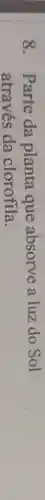8. Parte da planta que absorve a luz do Sol
através da clorofila.