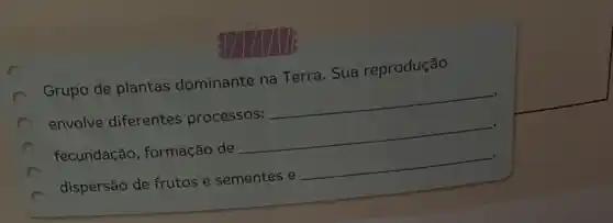 Grupo de plantas dominante na Terra Sua reprodução
__
envolve diferentes processos:
__
fecundação formação de
__
dispersão de frutos e sementes e