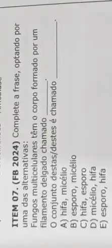 ITEM 07. (FB 2024)Complete a frase, optando por
uma das alternativas:
Fungos multicelulares têm o corpo formado por um
filamento delgado chamado
__
conjunto destas/destes é chamado
__
A) hifa, micélio
B) esporo, micélio
C) hifa, esporo
D) micélio, hifa
E) esporo, hifa