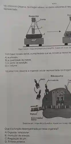 N0902
18) (N00030565) Observe na imagem abaixo, os dados referentes a reac
representado.
Dispon/vol em: <https://encurtador combr brianpOT>. Acesso em: 4 ago
Com base nesses dados a propriedade que se conserva nessa re
A) a pressão.
B) a quantidade de massa.
C) o ponto de ebulição.
D) o volume.
19) (B090172H6) Observe a organela celular representada na imagem
Ribossomo
Disponivel em chitps://bit.ly/3Lwm)Kxp. Acesso em: 4 malo 202
Qual é a função desempenhada por essa organela?
A) Digestão intracelular.
B) Produção de energia.
C) Regulação do pH.
D) Síntese proteica.