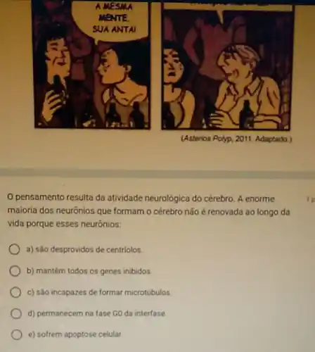 pensamento resulta da atividade neurológica do cérebro. A enorme
maioria dos neurônios que formam o cérebro não é renovada ao longo da
vida porque esses neurônios:
a) são desprovidos de centriolos.
b) mantêm todos os genes inibidos.
c) são incapazes de formar microtúbulos
d) permanecem na fase GO da interfase