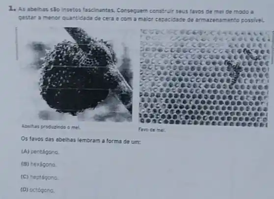 1. As abelhas sao Insetos fascinantes. Consequem construir seus favos de mel de modo a
gastar a menor quantidade de cera e com a malor capacidade de armazenamento possivel.
Abelhas pr produzindo o mel.
Os favos das abelhas lembram a forma de um:
(A) pentágono.
(B) hexágono.
(C) heptágono.
(D) octógono.
