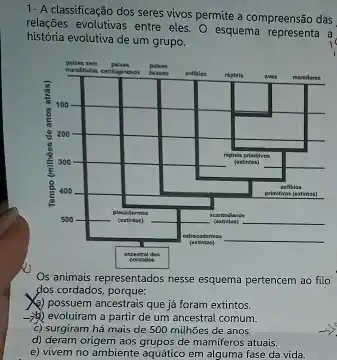 1- A classificação dos seres vivos permite a compreensão das relaçōes evolutivas entre eles. O esquema representa a história evolutiva de um grupo.
Os animais representados nesse esquema pertencem ao filo dos cordados, porque:
2) possuem ancestrais que já foram extintos.
 arrow b) evoluíram a partir de um ancestral comum.
c) surgiram há mais de 500 milhōes de anos.
d) deram origem aos grupos de mamíferos atuais.
e) vivem no ambiente aquático em alguma fase da vida.