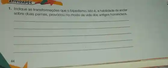 1. Indique as transformações que o bipedismo, isto é, a habilidade de andar
sobre duas pernas , provocou no modo de vida dos antigos hominideos.
__