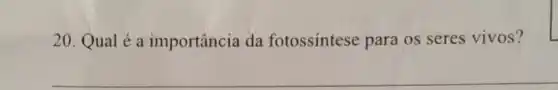 20. Qual é a importância da fotossintese para os seres vivos?
__