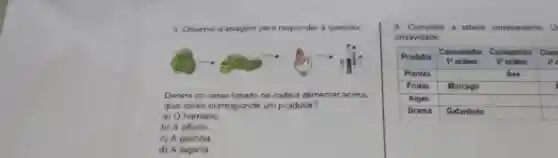 3. Observe a imagem para responder a questão:
Dentre os seres listado na cadela alimentar acima
qual oolos corresponde um produtor?
a) O humano
b) A afface
c) A galinha
d) A lagarta
Complete a tabela correlamente. u
criatividade
Produtor
Consumidor Consumidor Cons
1^4	Fordern
Plantas	Ave square 
Frutas Morcego	square 
Alges square  square 
Grama Gafanhoto	square