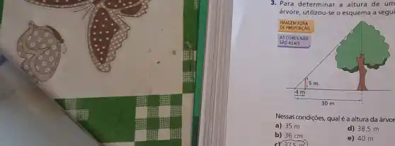 3. Para determinar a altura de um
árvore, utilizou-se o esquema a segui
Nessas condições, qualé a altura da árvor
a) 35 m
d) 38,5 m
b) 36 cm
e) 40 m
cr37