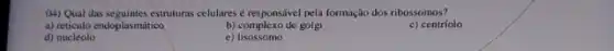 (41) Qual das seguintes estruturas celulares é responsável pela formação dos ribossomos?
a) reticulo endoplasmático
b) complexo de golgi
c) centríolo
d) nucléolo
e)lisossomo