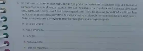 5. Na natureza, existem muitas substâncias que podem ser extraidas de espécies vegetais para atuar
como indicadores ácido-base naturais. Um dos indicadores mais conhecidoséo extrato de repolho
roxo. Basta você bater uma folha desse vegetal com 1 litro de água no liquidificador e filtrar, Esse
indicador adquire coloração vermelha em meio ácido e coloração verde-amarelada em meio básico.
Determine a cor que a solução de repolho roxo apresentará na presença de
a. suco de laranja
b. soda limonada
__
c. vinagre
d. soda cáustica
__
e. leite de magnésia