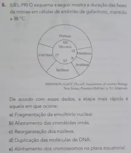 5. (UEL-PR)O esquema a seguir mostra a duração das fases
da mitose em células de embrião de gafanhoto , mantido
a 38^circ C
SWANSON, Carl P. The cell: foundations of modern Biology.
New Jersey: Prentice-Hall InC. p. 52. Adaptado.
De acordo com esses dados,a etapa mais rápida é
aquela em que ocorre:
a) Fragmentaç áo da envoltório nuclear.
b) Afastamento das cromátides irmās.
c)Reorganização dos núcleos.
d) Duplicação das moléculas de DNA.
e) Alinhamento dos cromossomos na placa equatorial.