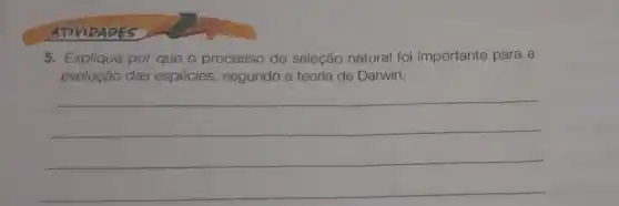 ATIVIDADES
5. Explique por que o processo de seleção natural foi importante para a
evolução das espécies, segundo a teoria de Darwin.
__