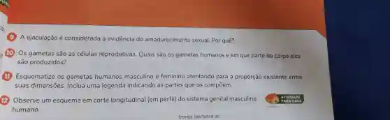 A ejaculação é considerada a evidência do amadurecimento sexual. Por quê?
Os gametas são as células reprodutivas Quais são OS gametas humanos e em que parte do corpo eles
são produzidos?
Esquematize os gametas humanos masculino e feminino atentando para a proporção existente entre
suas dimensões . Inclua uma legenda indicando as partes que os compōem.
Observe um esquema em corte longitudinal (em perfil)do sistema genital masculino
humano.
ATIVIDADE