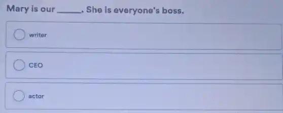 Mary is our __ . She is everyone's boss.
writer
CEO
actor